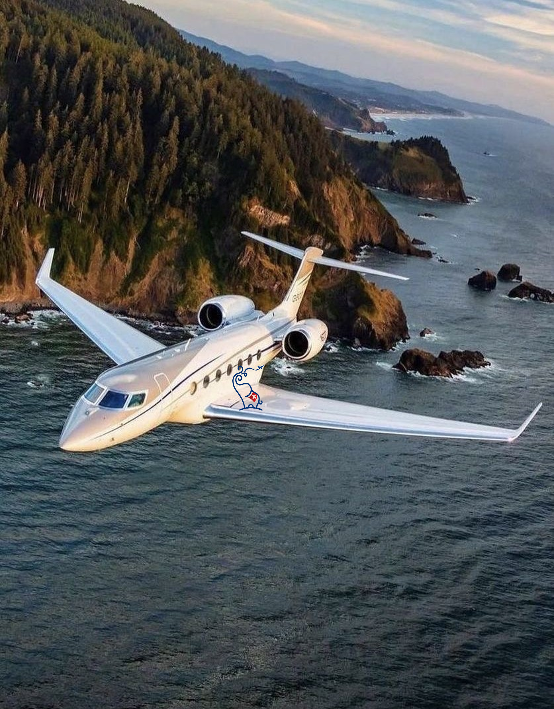 Charter Services